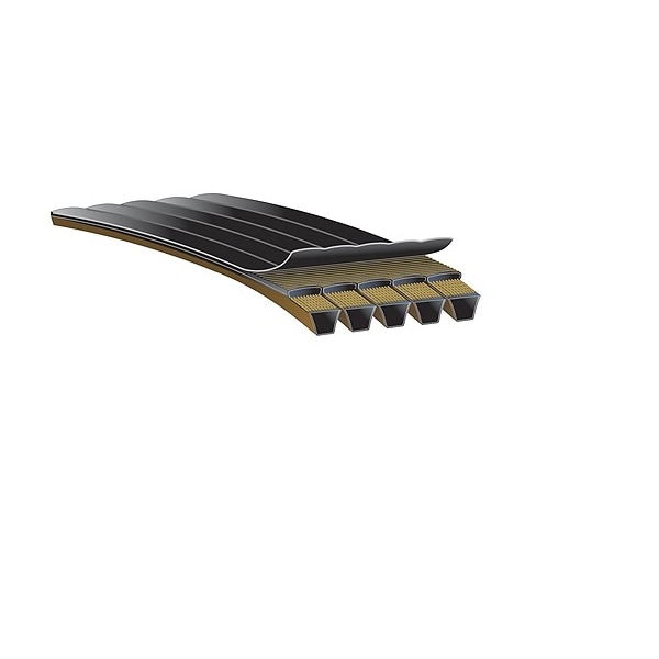 Predator PowerBand Belts, 8/5VP2120